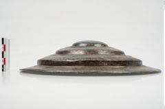 Foto von Bronzephalere (NHMW-PRAE-025640)